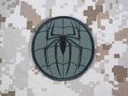 Picture of WARRIOR Spiderman Patch (FG)