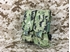 Picture of FLYYE Molle Double M4/M16 Mag Pouch Ver.EG (AOR2)