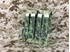 Picture of FLYYE Molle Double M4/M16 Mag Pouch Ver.EG (AOR2)