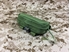 Picture of FLYYE SGC Glasses Carrying Case (Olive Drab)