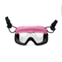 Picture of TMC SF QD Goggle (Pink)