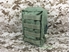 Picture of FLYYE MOLLE Vertical Accessories Pouch (Ranger Green)