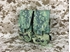 Picture of FLYYE Molle Double M14 Mag Pouch (AOR2)