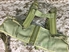 Picture of FLYYE MPCR Zipper Tactical Band Vest (Khaki)
