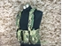 Picture of FLYYE MPCR Zipper Tactical Band Vest (AOR2)