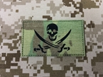 Picture of Warrior Navy SEAL Team Skull Pirate Patch (Multicam)