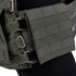 Picture of TMC Lightweight Saber Plate Carrier (RG)