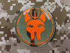 Picture of Warrior SEAL Team Reflective Patch (Multicam)