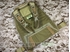 Picture of FLYYE MOLLE RRV Vest PC Plate (Coyote Brown)