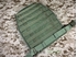 Picture of FLYYE MOLLE RRV Vest PC Plate (Ranger Green)