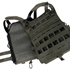 Picture of TMC AssaultLite Structural Plate Carrier (RG)