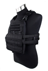 Picture of TMC Modular Assault Vest System Plate Carrier 2019 Ver (Black)