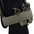 Picture of TMC Assault Slickster Plate Carrier (RG)