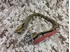 Picture of FLYYE 30inch Safety Lanyard (Coyote brown)