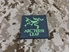 Picture of Warrior Luminous Arc'teryx Morale Patch (Wolf Grey)