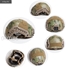 Picture of FMA Maritime Helmet Thick And Heavy Version (M/L, A-TACS FG)