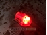 Picture of FMA Manta Strobe Red Type 1 (BK)