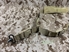 Picture of Big Dragon Tactical Single Bungee One Point Sling (TAN)