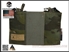 Picture of Emerson Gear JPC MBITR Radio Pouch Set (FG)