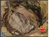 Picture of Emerson Gear Boonie Hat Combat Tactical Hat UG (Multicam)