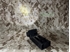 Picture of FMA Rattlesnake Hands-Free Light / IR (DE)