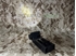 Picture of FMA Rattlesnake Hands-Free Light / IR (Black)
